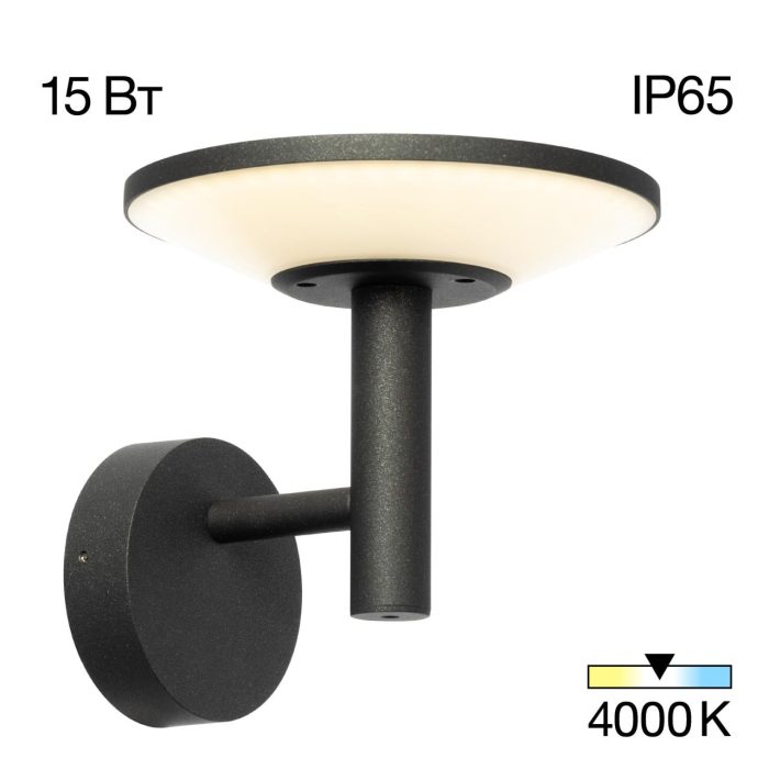 Уличный настенный светильник Citilux Dorn CLU05W Графит