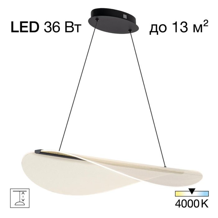 Подвесной светильник Citilux SKATT CL213131 Чёрный