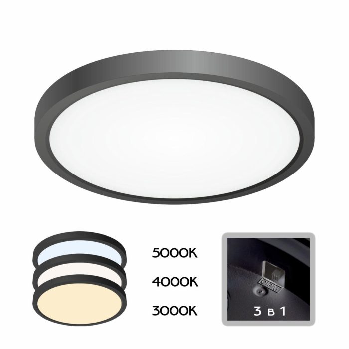 Светильник накладной Citilux Бейсик CL738181V Чёрный