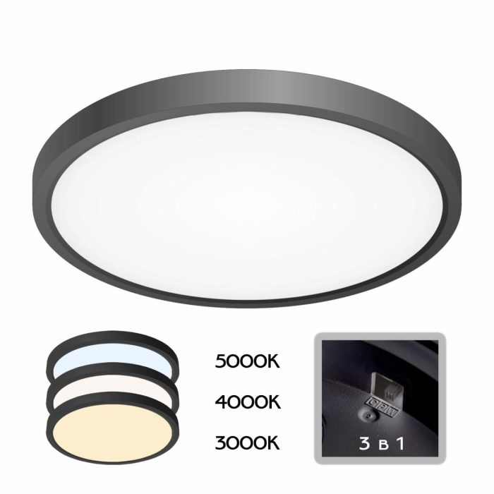 Светильник накладной Citilux Бейсик CL738241V Чёрный