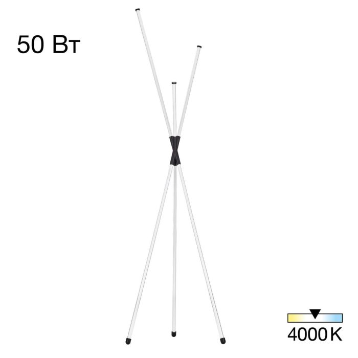 Торшер Citilux LUCIA CL217961 Чёрный