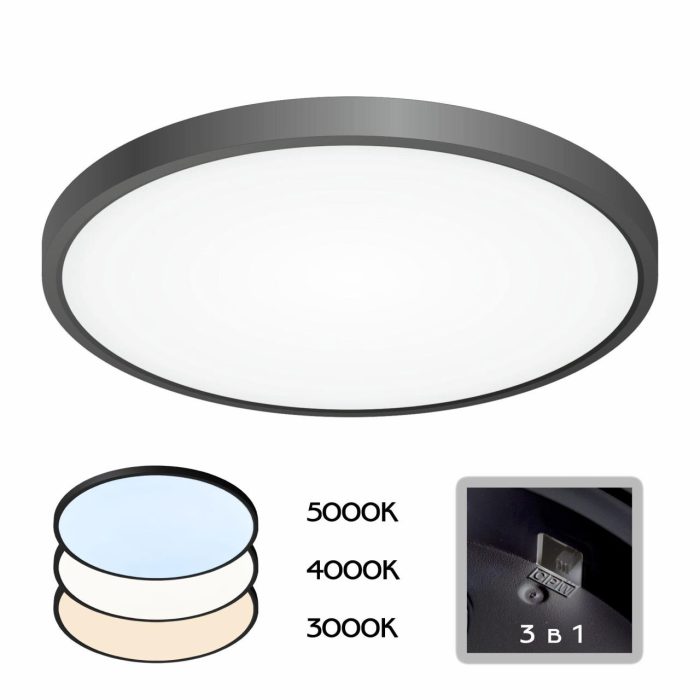 Светильник накладной Citilux Бейсик CL738321V Чёрный