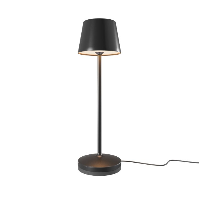 Аккумуляторный светильник Maytoni MOD494RL-L1BK