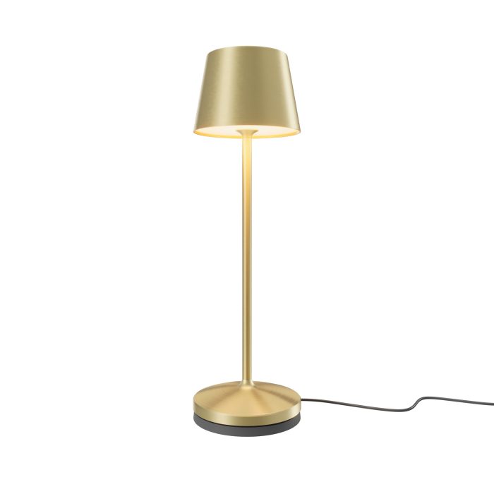 Аккумуляторный светильник Maytoni MOD494RL-L1BSK