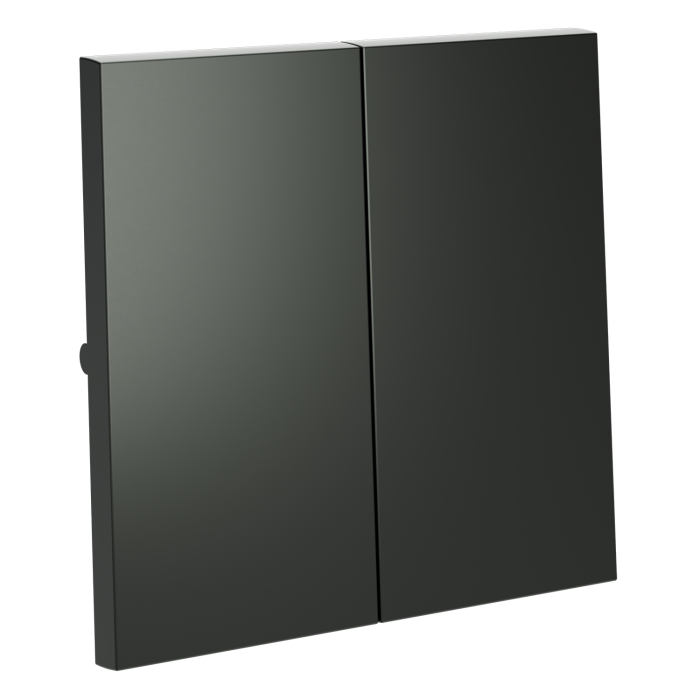 Клавиши для выключателя/переключателя двухклавишного, S70 (титан)