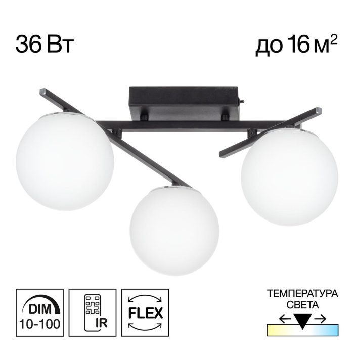 Потолочная люстра Citilux DORSY CL223132 Черный