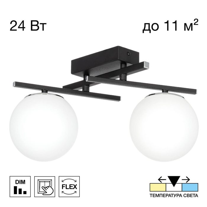 Потолочный светильник Citilux DORSY CL223122 Черный